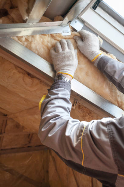 Best Insulation Maintenance and Repair in Nixon, TX