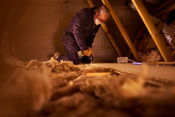 Best Commercial Insulation in Nixon, TX